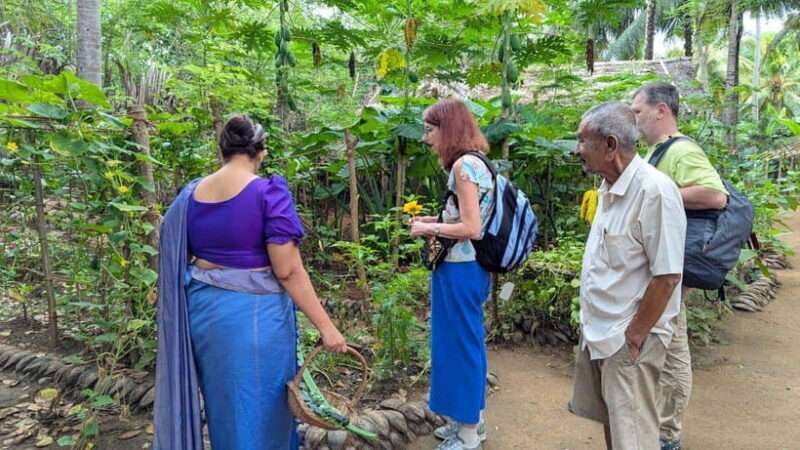 Farm to Table Cooking Class & Authentic Village Experience - Authenticity and Cultural Insights  