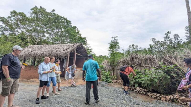 Farm to Table Cooking Class & Authentic Village Experience - Picking Vegetables & Cooking in a Village Kitchen