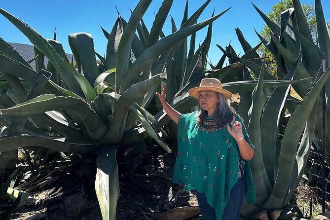 Farm to Table Cooking Experience in San Miguel - A Detailed Look at the Experience