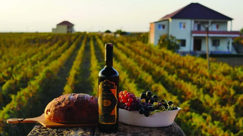 Farm-to-Table Escape: Discover Mrizi i Zanave - The Sum Up