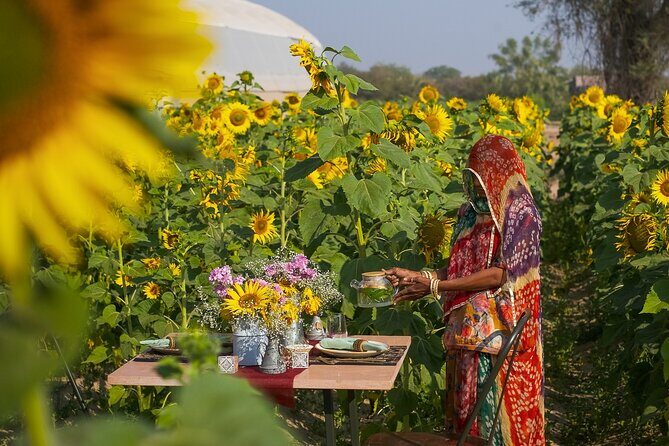 Farm to Table Experience in Jodhpur - Good To Know