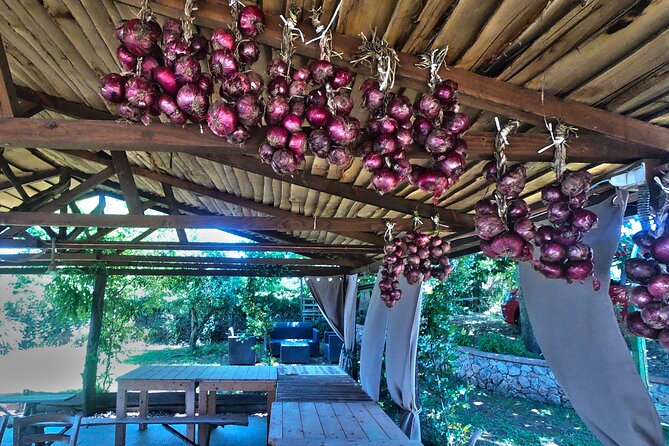 Farm-to-table Food Experience - Farm Tour