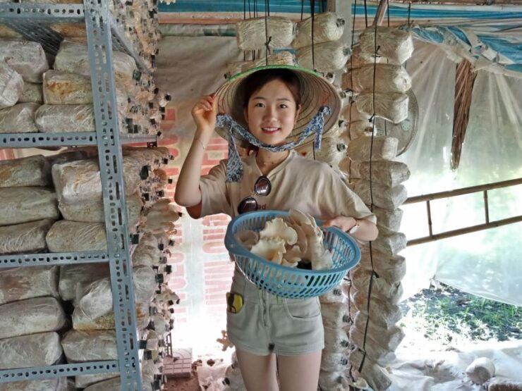 Farm-to-Table Full-Day Cooking Class & Cu Chi Tunnels - Activity Details