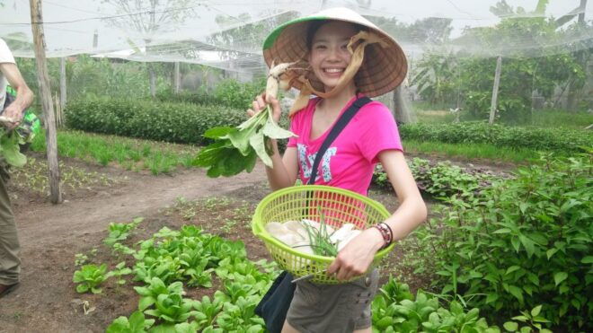 Farm-to-Table Full-Day Cooking Class & Cu Chi Tunnels - Related Tours