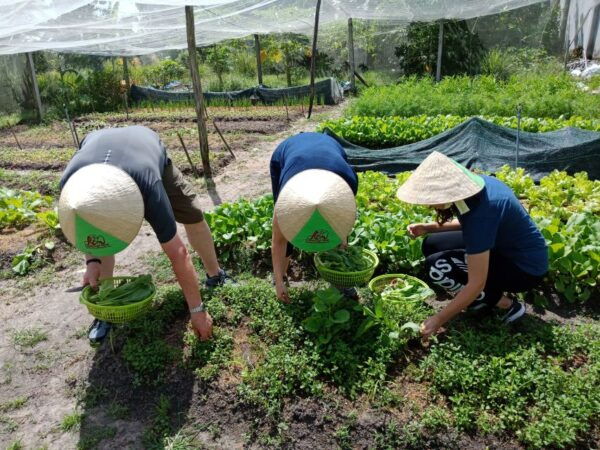Farm-to-Table Full-Day Cooking Class & Cu Chi Tunnels - The Sum Up