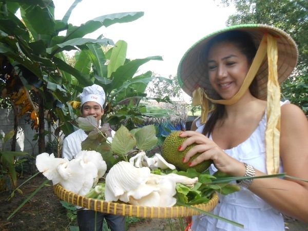 Farm-To-Table Healthy Cooking Class: Half-Day Tour - Activity Information and Pricing