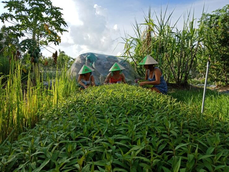 Farm-To-Table Healthy Cooking Class: Half-Day Tour - Activity Details and Highlights