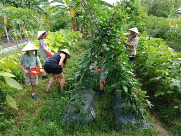 Farm-To-Table Healthy Cooking Class: Half-Day Tour - The Sum Up