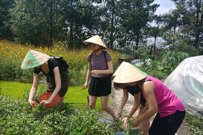 Farm-To-Table Healthy Cooking Class in Ho Chi Minh City - Class Options