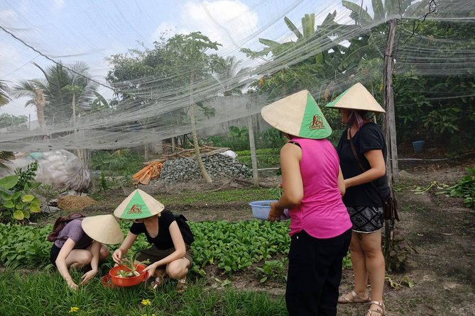 Farm-To-Table Healthy Cooking Class in Ho Chi Minh City - Cancellation Policy