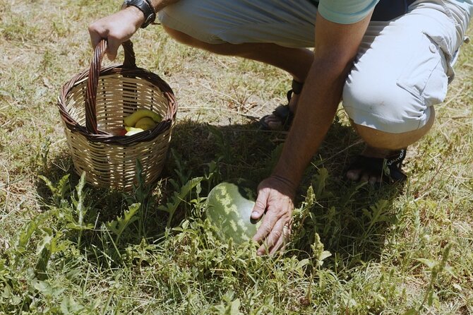 Farm to Table - Local Cooking Experience - Traditional Cooking Experience