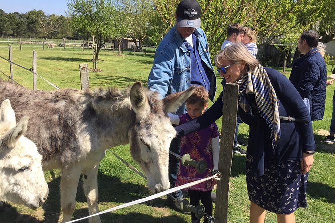 Farm to Table Tour - Farm Visit