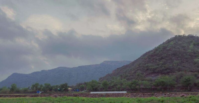 Farm to Table: With a local farmer family - What to Expect from the Rajasthan Farm-to-Table Tour