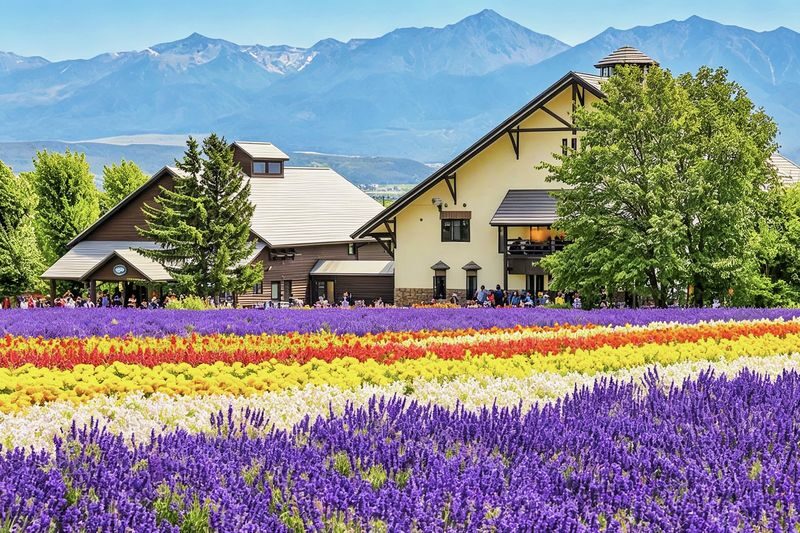Farm Tomita, Shikisai no Oka, Aoiike: Sapporo Departure Furano Biei 1-Day Tour (Optional All-You-Can-Eat Cantaloupe) - Should you book it?