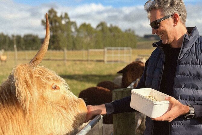 Farm Tour and Milford Sound Nature Cruise from Te Anau - Farm Tour and Milford Sound Nature Cruise from Te Anau: A Complete Fiordland Experience