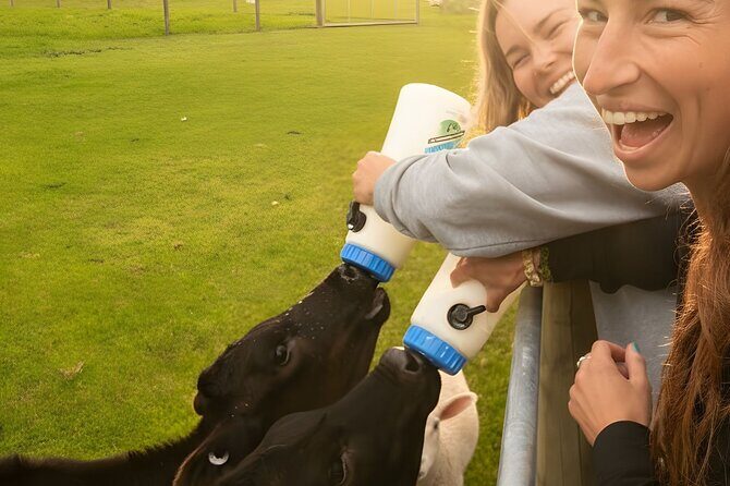 Farm Tour and Milford Sound Nature Cruise from Te Anau - Analyzing the Value