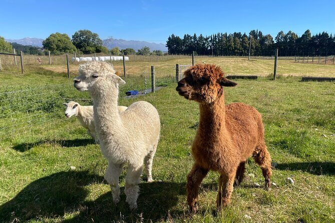 Farm Tour and Milford Sound Nature Cruise from Te Anau - Final Thoughts
