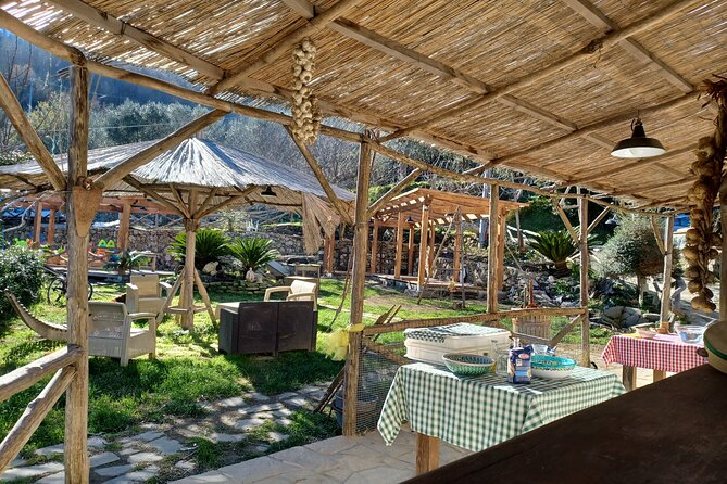 Farm Tour With Cheese & Pizza Experience, Wine & Limoncello Test - Inclusions and Menu