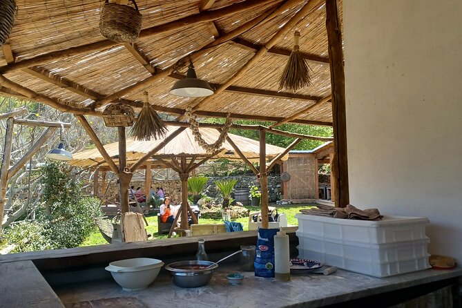 Farm Tour With Cheese & Pizza Experience, Wine & Limoncello Test - Reviews and Ratings