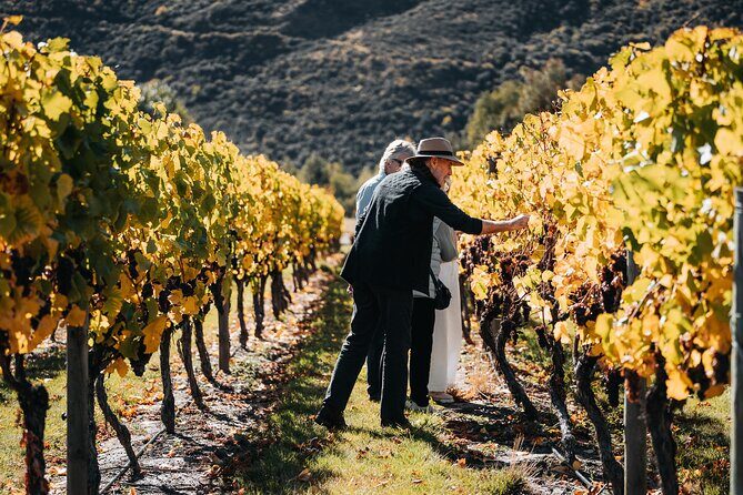Farm & Wine Experience Fun Experience from Queenstown New Zealand - What Makes This Tour Stand Out?