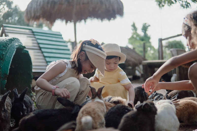 Farm Workshop at South Farm Panglao - A hands-on break from Panglao’s beach routine