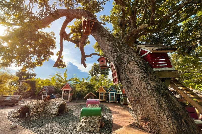 Farm Workshop at South Farm Panglao - Should you book this farm workshop?