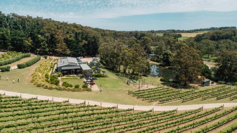 Farmers Lunch - Food and Wine for 2 - The Sum Up