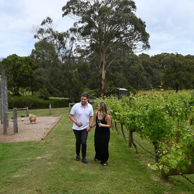 Farmers Lunch - Food and Wine for 2 - What Makes This Experience Stand Out?