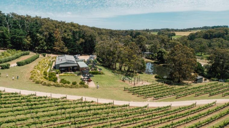 Farmers Lunch - Food and Wine for 2 - Who Is This Experience Best Suited For?