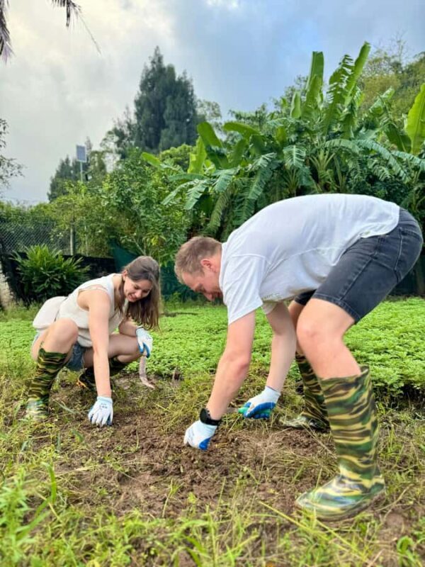 Farming and Cooking Experience at a Local Ninh Binh Farm - FAQ