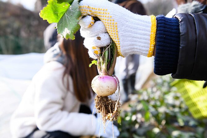 Farming Experience in a Beautiful Rural Village in Nara - Farming Activities in the Rural Village