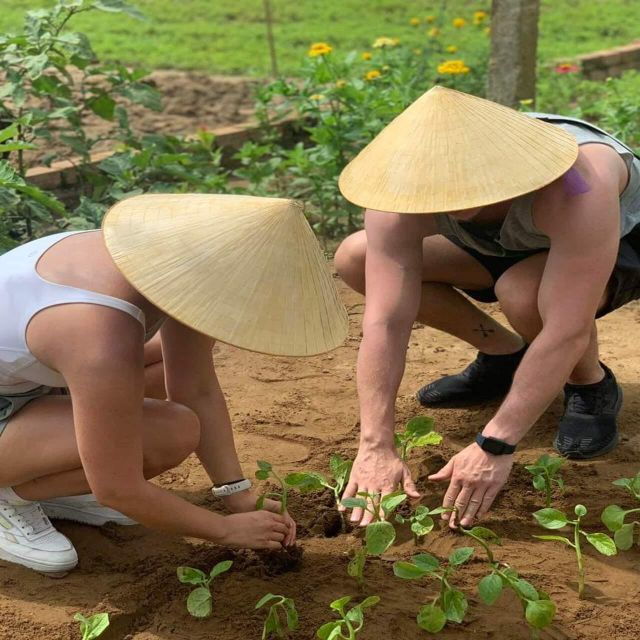 Farming - Local Market - Cooking Class In Tra Que Vegetable - Experience the Vibrant Hoi An Market