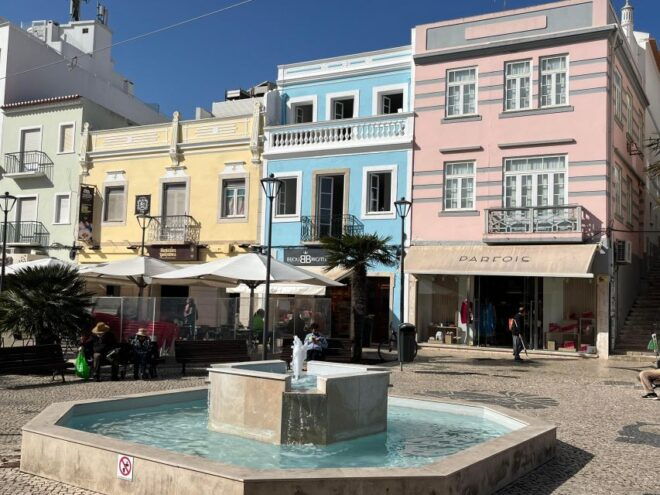 Faro Airport To/From Lagos/Private Transfer Max 4 Passengers - Driver and Vehicle Features