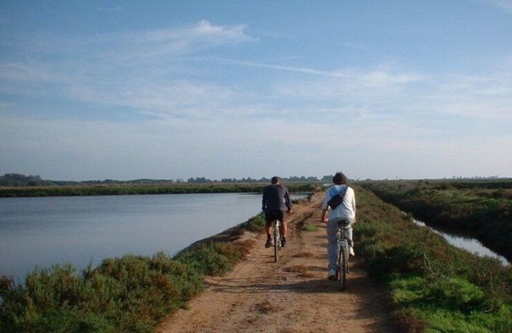 Faro Bike Tour Through the Beautiful Ria Formosa - Experience Highlights