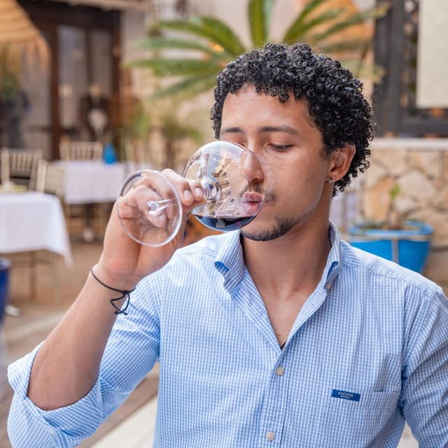 Faro City Portuguese Wine Tasting and Tapas Guided Tour - Good To Know