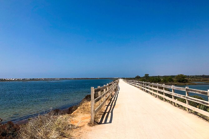 Faro City & Ria Formosa E-Bike Tour - Meeting Point Details