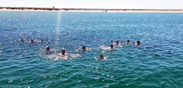 Faro: Come and Discover Ria Formosa With Us in Our Catamaran - Tour Options