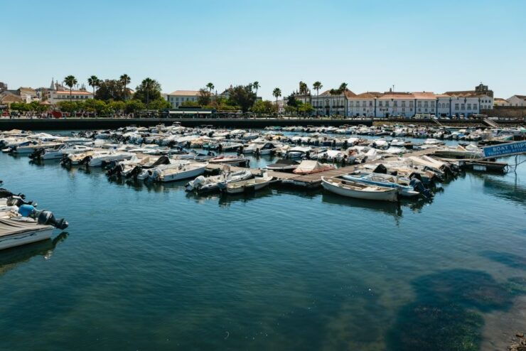 Faro: Deserta Island and Farol Island Catamaran Boat Trip - Trip Details
