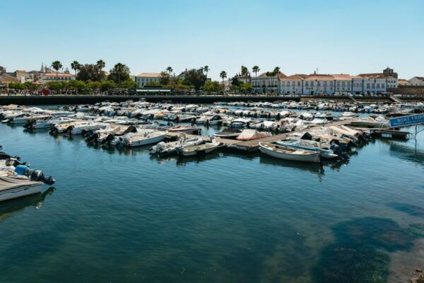 Faro: Deserta Island and Farol Island Catamaran Boat Trip - The Sum Up