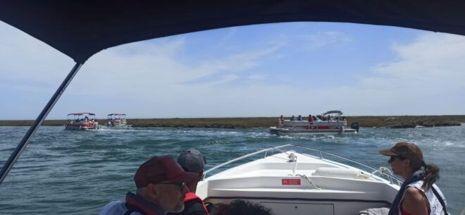 Faro: Dolphin and Marine Life Watching Boat Tour - Directions