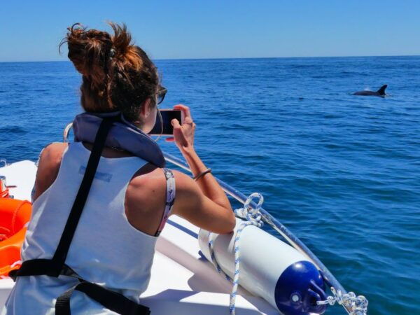 Faro: Dolphin and Wildlife Watching in the Atlantic Ocean - Blog Post Content