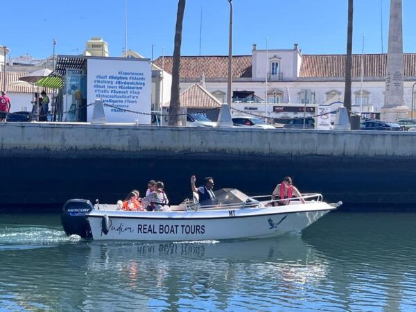 Faro - Dolphin Watching Boat Tour - Group Size and Guide