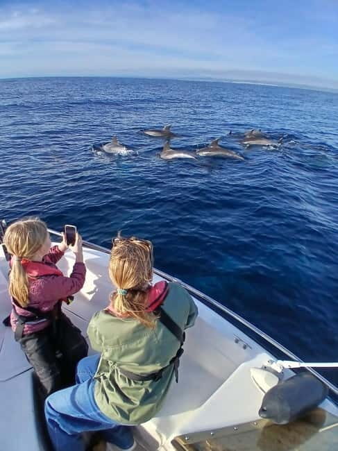 Faro: Funtastic Dolphin Watching Boat Tour - Faro: Funtastic Dolphin Watching Boat Tour – A Deep Dive into Marine Magic