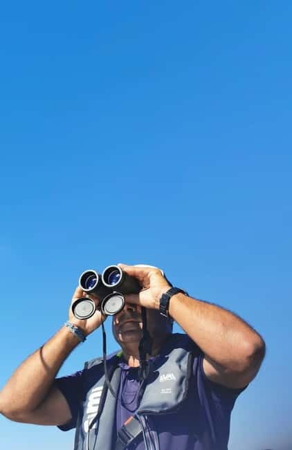 Faro: Funtastic Dolphin Watching Boat Tour - Final Words