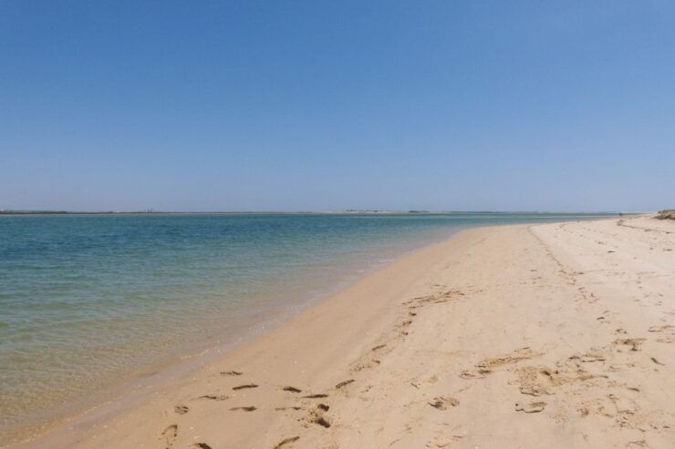 Faro: Kayak Hire in Ria Formosa Natural Park - Booking Information