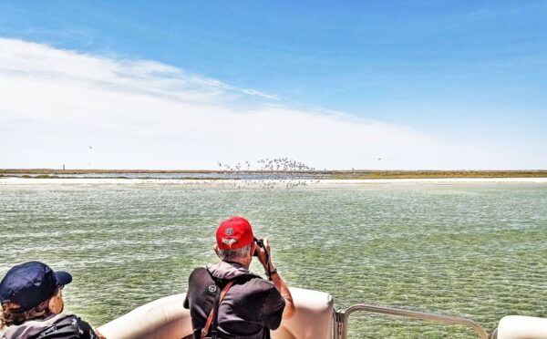 Faro: Private Ria Formosa Faro Islands Catamaran Tour - The Sum Up
