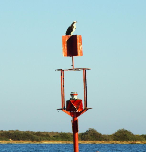 Faro: Pudim Real Boat Tours 6h guided boat tour Ria Formosa - Is It Worth the Price?