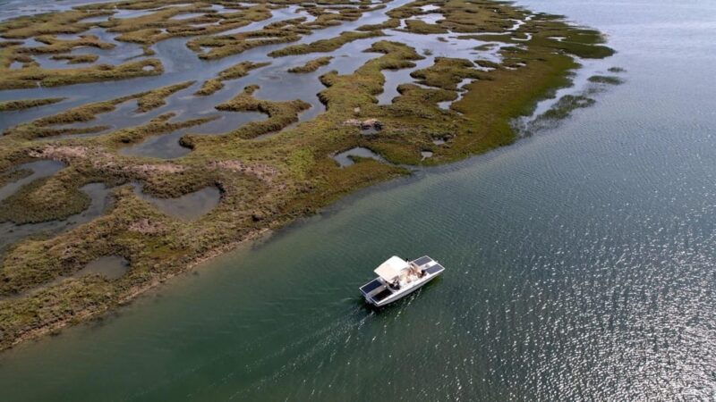 Faro: Ria Formosa Boat Tour by Eco-Friendly Solar Boat - Good To Know