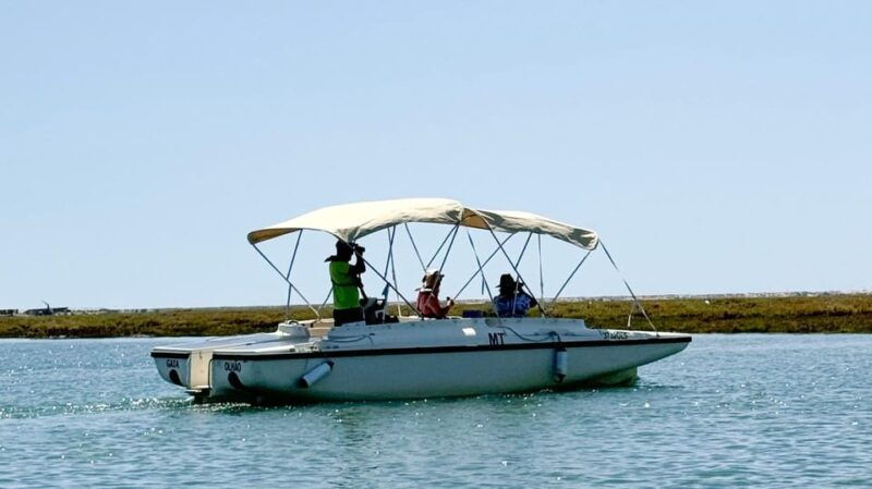 Faro: Ria Formosa Boat Tour by Eco-Friendly Solar Boat - Practical Tips for Your Tour