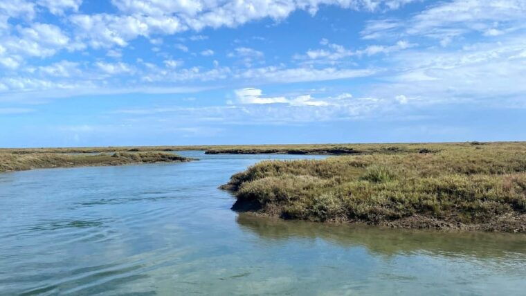 Faro: Ria Formosa Boat Tour by Eco-Friendly Solar Boat - The Sum Up